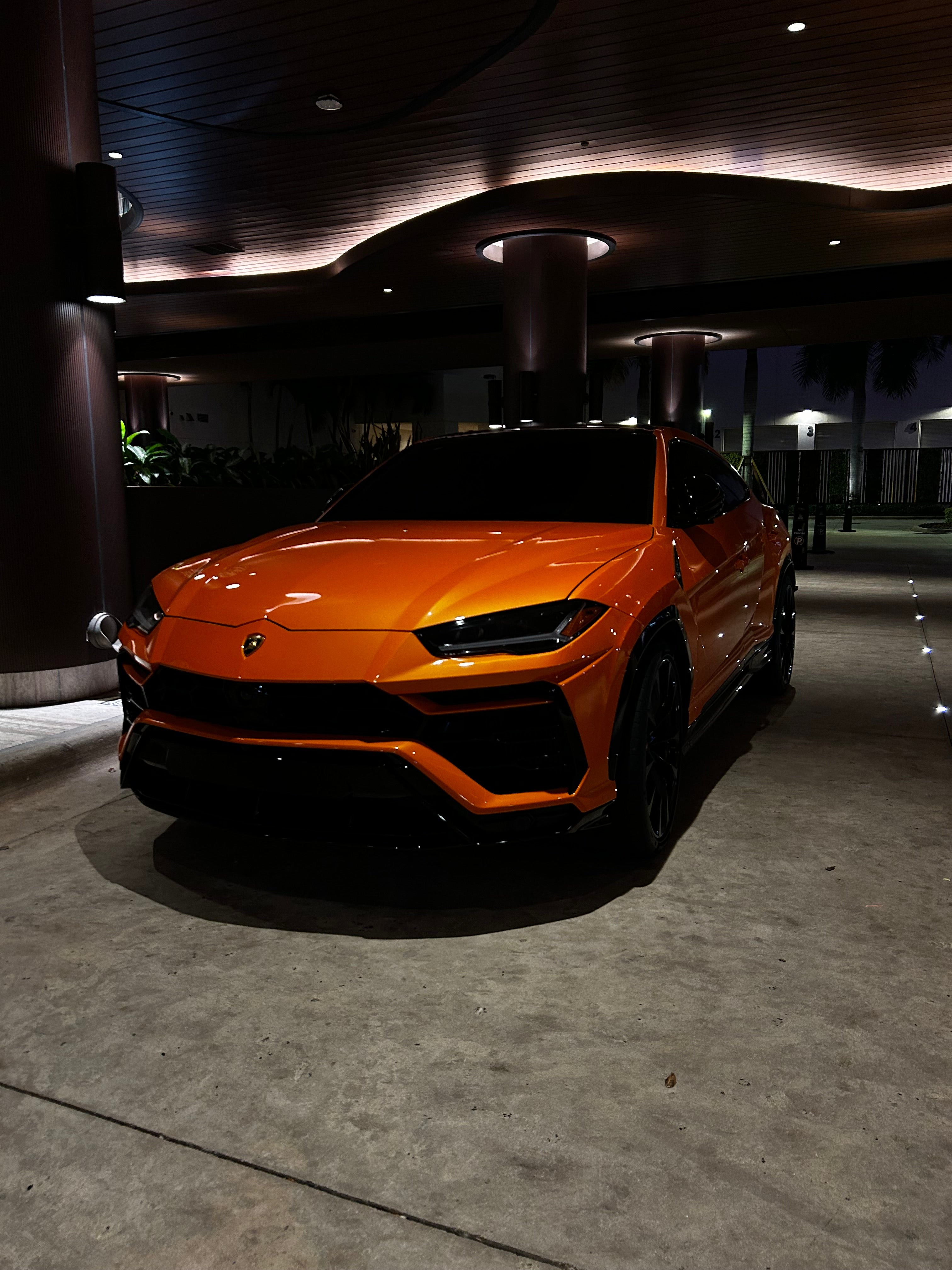 Urus